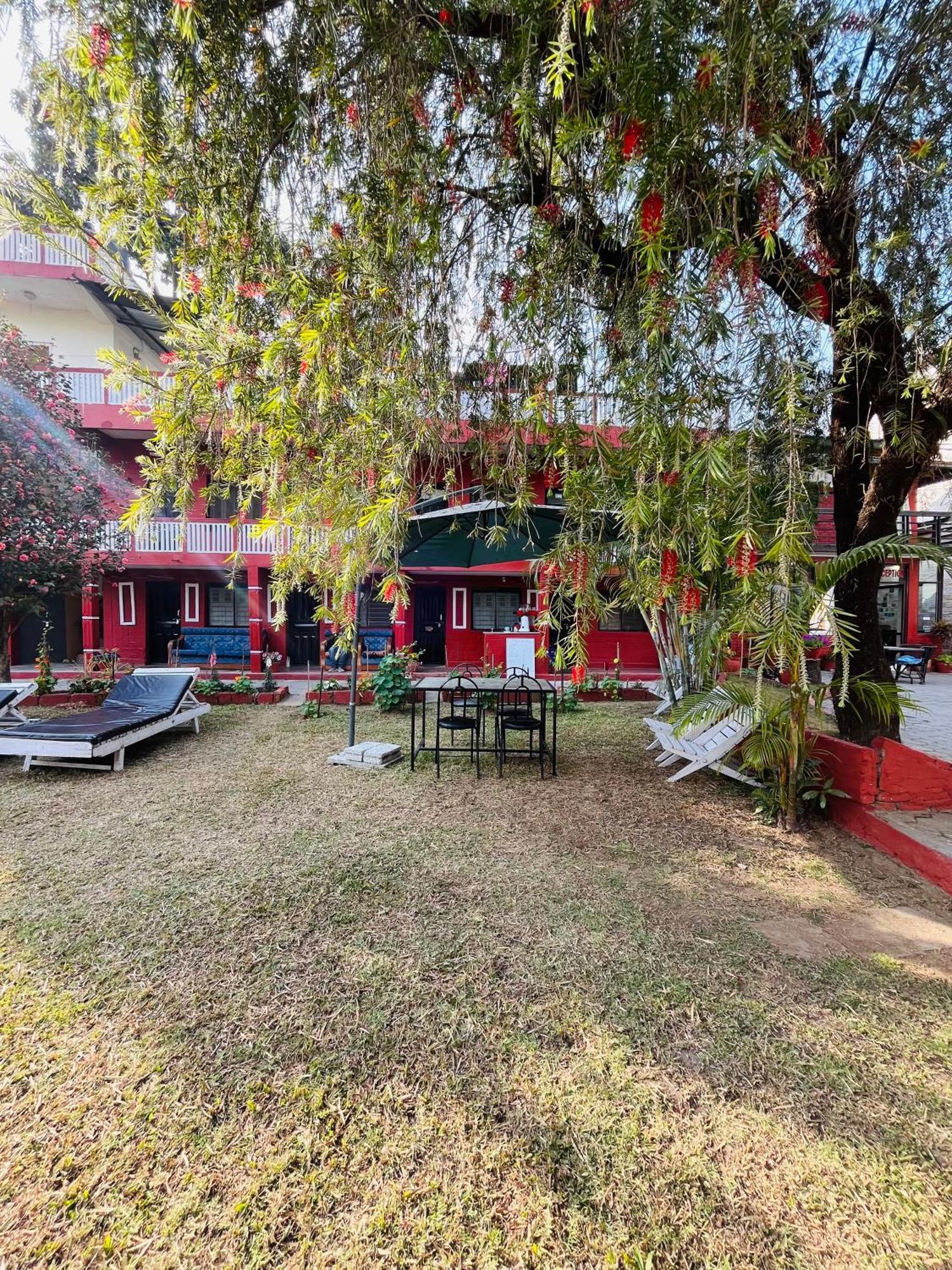 Butterfly Lodge Pokhara Exteriör bild