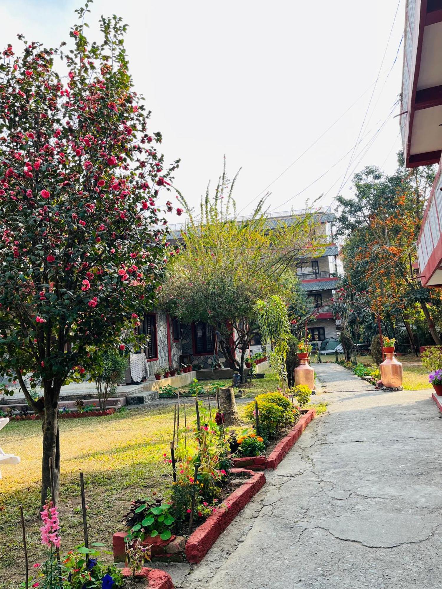 Butterfly Lodge Pokhara Exteriör bild